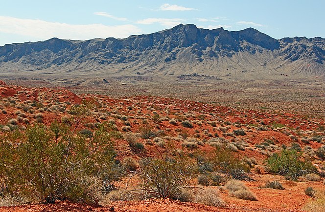 Muddy Mountains, Nevada