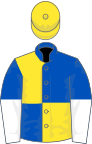 Royal blue and yellow (quartered), royal blue and white halved sleeves, yellow cap