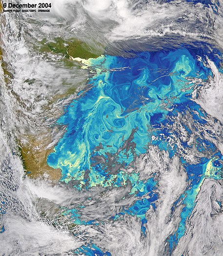 Turbulenzen und Eddies im Falklandstrom, aufgenommen durch SeaWiFS