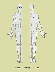 Ecology of the 20 sites on the skin studied in the Human Microbiome Project Skin Microbiome20161-300.jpg