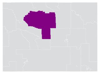 <span class="mw-page-title-main">Wyoming's 20th State Senate district</span> American legislative district