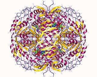 <span class="mw-page-title-main">Methylmalonate-semialdehyde dehydrogenase (acylating)</span> Class of enzymes