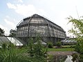 Botanischer Garten, Großes Tropenhaus