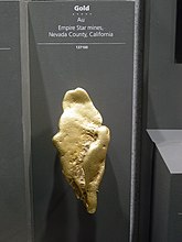 A large gold nugget from Nevada County, California.