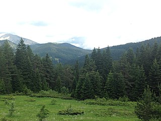 <span class="mw-page-title-main">Mount Ilgaz National Park</span> National park in Turkey