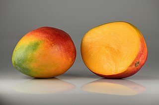 <span class="mw-page-title-main">Mango</span> Species of fruit