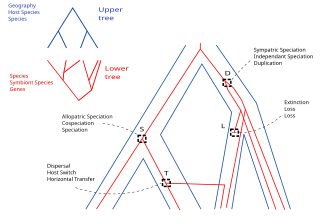 <span class="mw-page-title-main">Phylogenetic reconciliation</span> Technique in evolutionary study