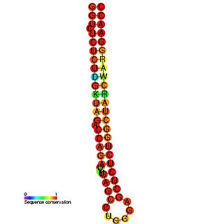 <span class="mw-page-title-main">Trans-activation response element (TAR)</span>