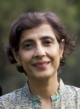 <span class="mw-page-title-main">Ritu Sarin</span> Indian film director, producer and artist