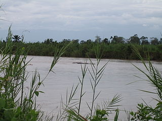 <span class="mw-page-title-main">Ruzizi River</span> River in Central Africa