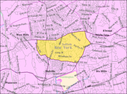 U.S. Census map