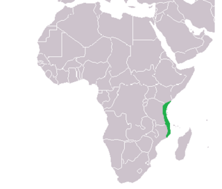 <span class="mw-page-title-main">Swahili coast</span> Coastal area of the Indian Ocean in southeast Africa