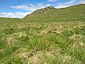 Monte Tombea, gli accumuli morenici nella Piana degli Stor