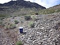 Trilobite hunting area next to the roadway has good access and easy parking (2017)