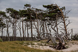 58. Platz: Derzno mit Nationalpark Vorpommersche Boddenlandschaft, Darßer Ort