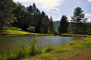 <span class="mw-page-title-main">Eulalia Township, Potter County, Pennsylvania</span> Township in Pennsylvania, United States