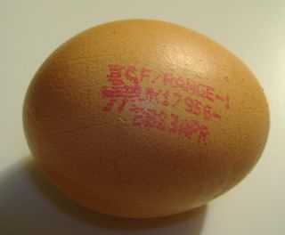 <span class="mw-page-title-main">Free-range eggs</span> Type of egg produced from outdoor bird