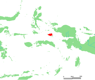 <span class="mw-page-title-main">Misool</span> Island in Indonesia