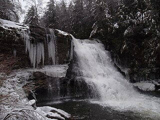 <span class="mw-page-title-main">Swallow Falls State Park</span> State park in Maryland, United States