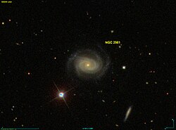 NGC 2981