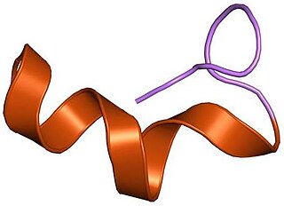 <span class="mw-page-title-main">Endothelin 1</span>