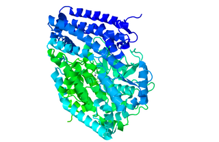 Peptidyl-dipeptidase Dcp Class of enzymes