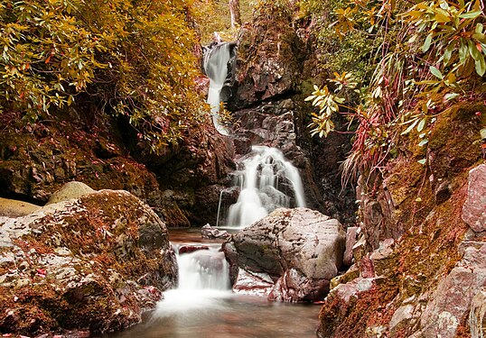 highly commended: Tollymore Forest Park, County Down Photographer: User:Ryan Mcdonald