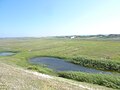 Tréguennec : petits étangs situés juste à l'ouest du camp Todt, entre ce dernier et les dunes littorales de la baie d'Audierne.