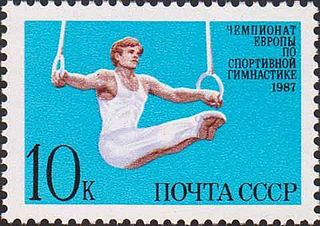 <span class="mw-page-title-main">Valeri Liukin</span> Russian gymnast