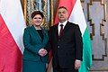 Polish Prime Minister Beata Szydło with Viktor Orbán (2016)