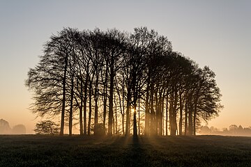 Dülmen, North Rhine-Westphalia, Germany