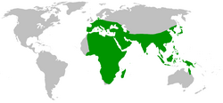 Distribución del género Dugesia según Sluys et al. 1998.[2]​