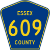 Essex County 609.svg