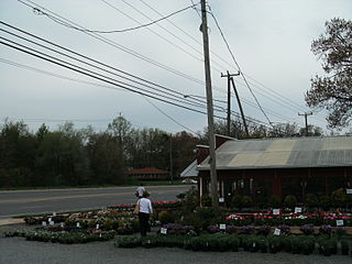 <span class="mw-page-title-main">Franconia, Virginia</span> Census-designated place in Virginia, United States