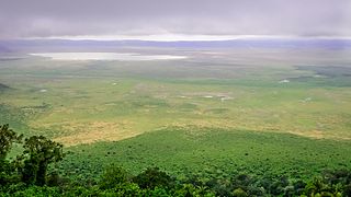 <span class="mw-page-title-main">Ngorongoro Conservation Area</span> Protected area and a World Heritage Site in Arusha Region, Tanzania