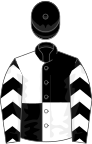 Black and white (quartered), chevrons on sleeves