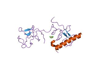 <span class="mw-page-title-main">VEK-30 protein domain</span>