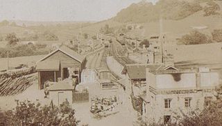 <span class="mw-page-title-main">Pontrilas railway station</span> Disused railway station in Herefordshire, England