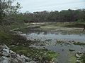 Sabakalal, Yucatán.