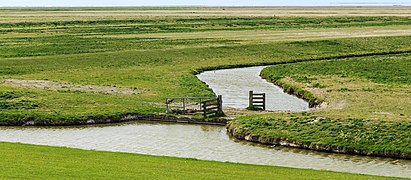 Waterbeheersing onderaan de dijk. Locatie, Noarderleech