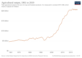 <span class="mw-page-title-main">Agriculture in Ethiopia</span> Overview of agriculture in Ethiopia