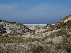 70. Platz: Susanne Mu mit Impressionen aus dem Naturschutzgebiet „Amrumer Dünen“