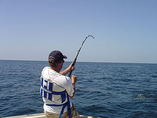 Fishing rod Tool used to catch fish