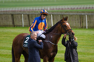 Gleneagles (horse) Irish-bred Thoroughbred racehorse