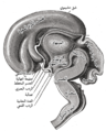 الصورة (6)