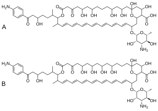 <span class="mw-page-title-main">Hachimycin</span> Chemical compound