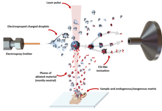 <span class="mw-page-title-main">Matrix-assisted laser desorption electrospray ionization</span>