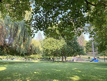 Lawn and playground in lower Manito Park