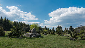 16. Platz: Martin Kraft mit Felsformation und Wacholderbüsche im Naturschutzgebiet „Wacholderheide bei Westernohe“