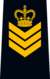 OPP Staff Sergeant.png